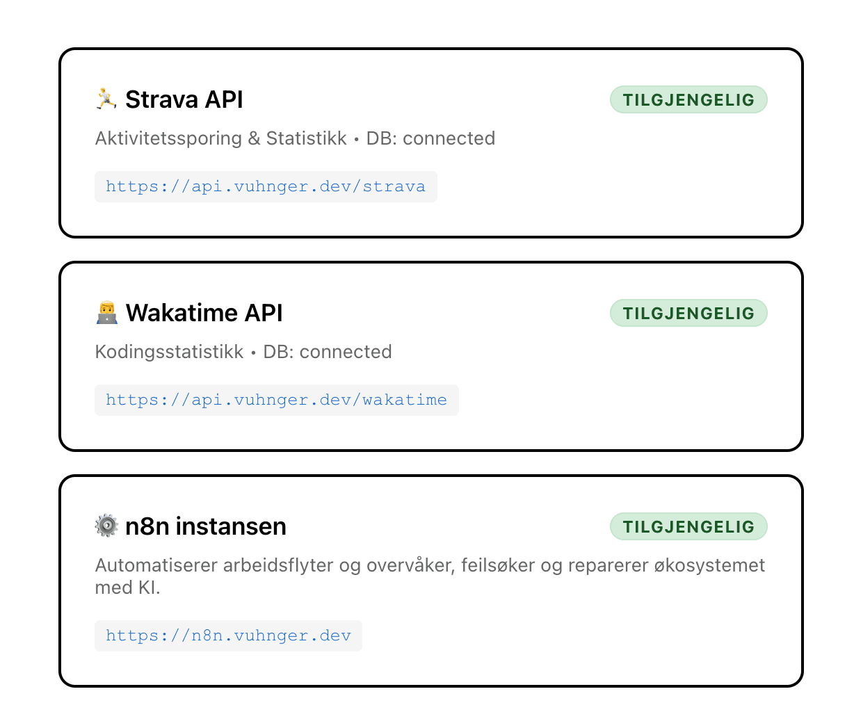 Illustrasjon for api.vuhnger.dev - Personlig API for mikrotjenestene mine